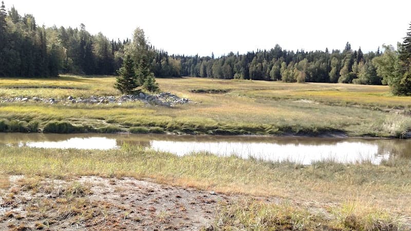 Anchorage Adventure & Wildlife in a Gentle Day