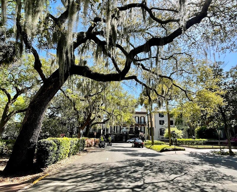 Free Explore: Bull Street & Nearby Squares