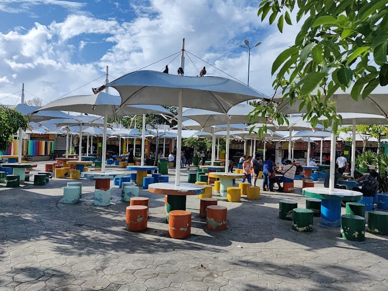 Parque de las Palapas Evening & Street Food