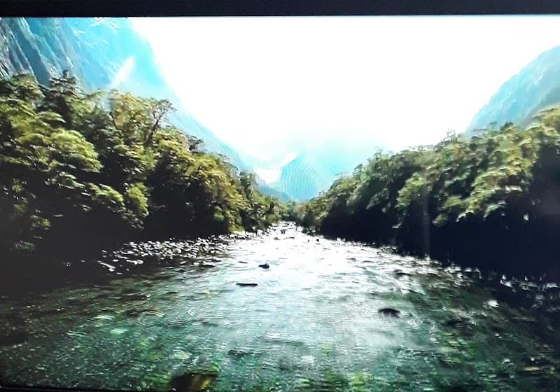 Free Explore: Kaikōura Peninsula Clifftops