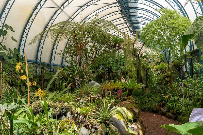 Free Explore: Parque La Carolina & Botanical Garden