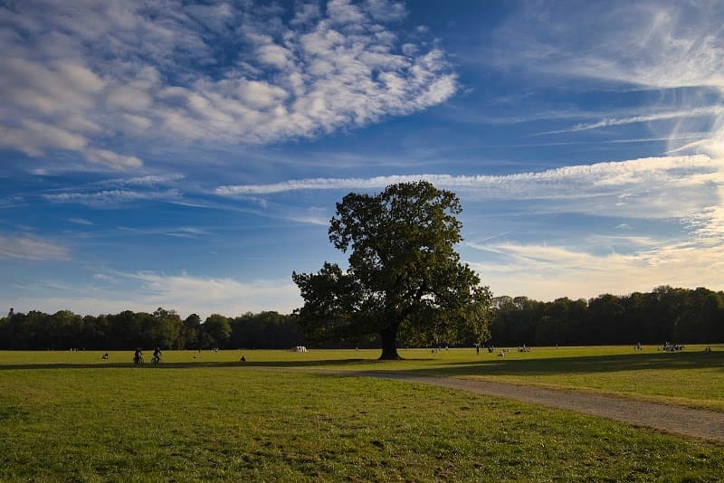Free Explore: Rosental Park