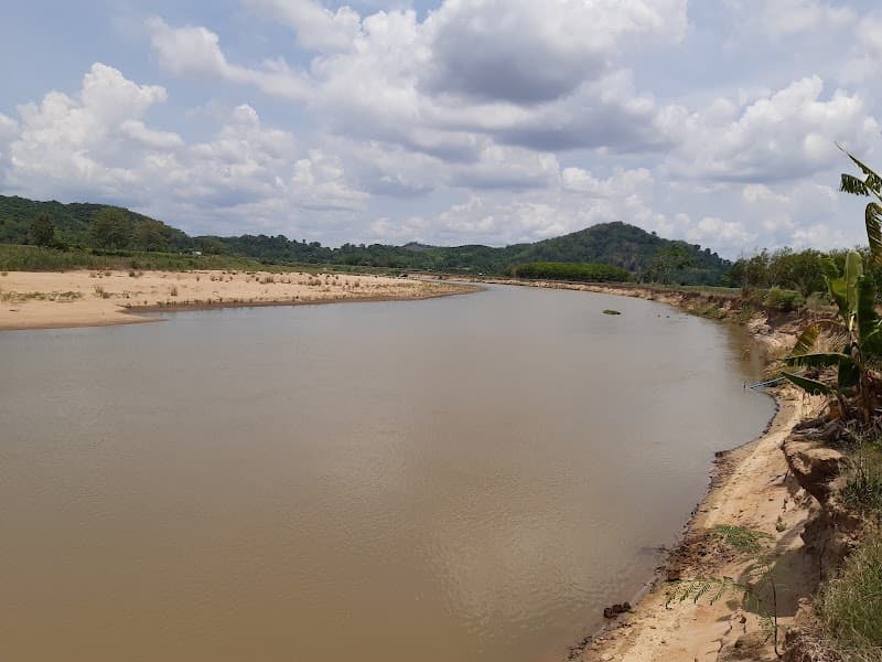 Free-Explore Walk: Green Lanes Near Kok River