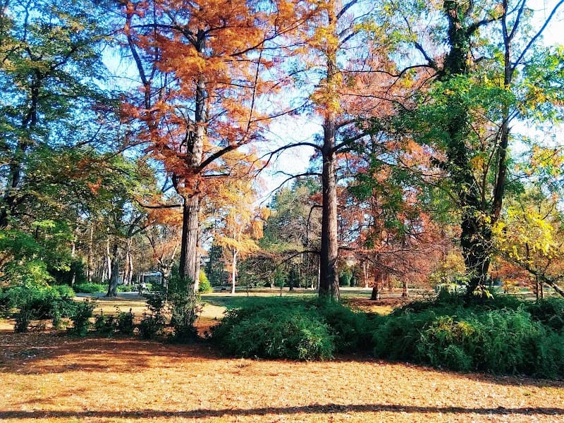 Futoški Park
