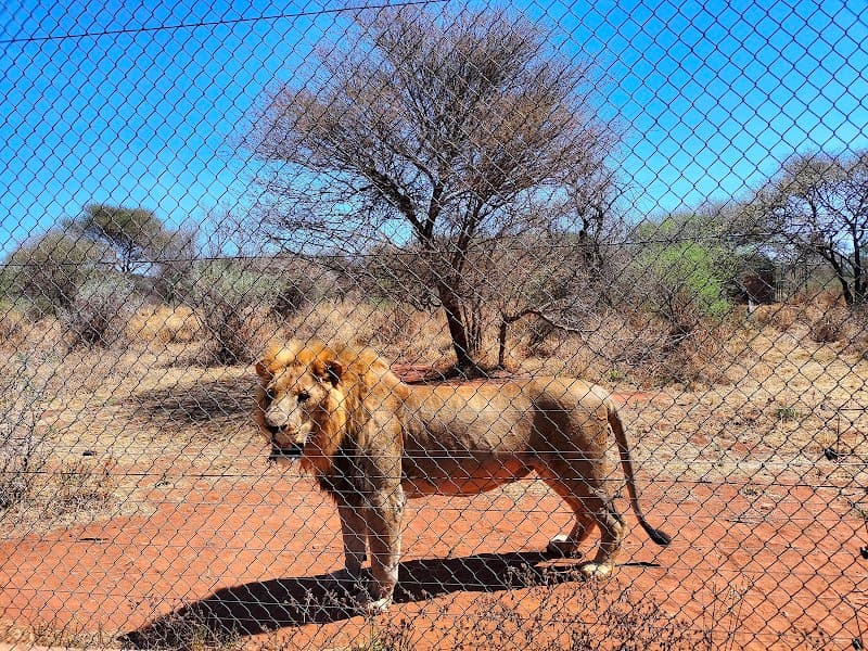 Gaborone Game Reserve (Green Escape in the City)