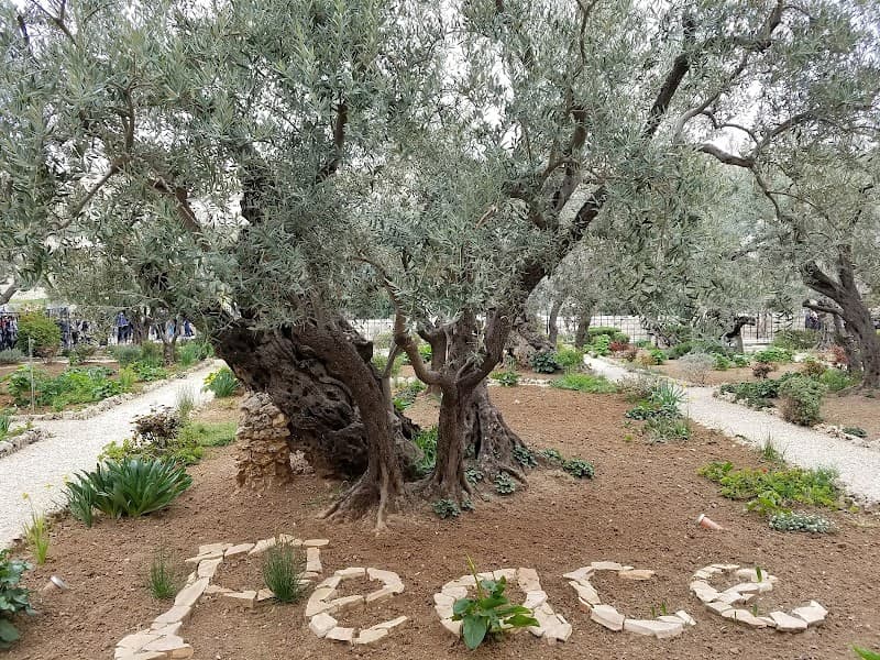 Garden of Gethsemane & Kidron Valley Walk