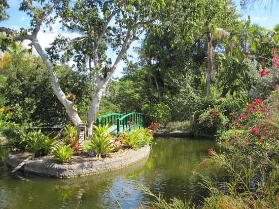 Garden of the Groves Café