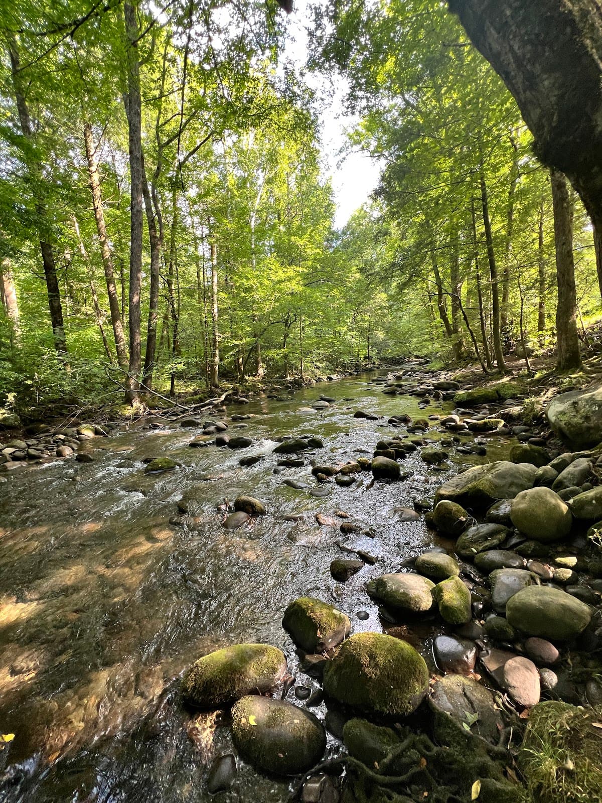 Gatlinburg Trailhead