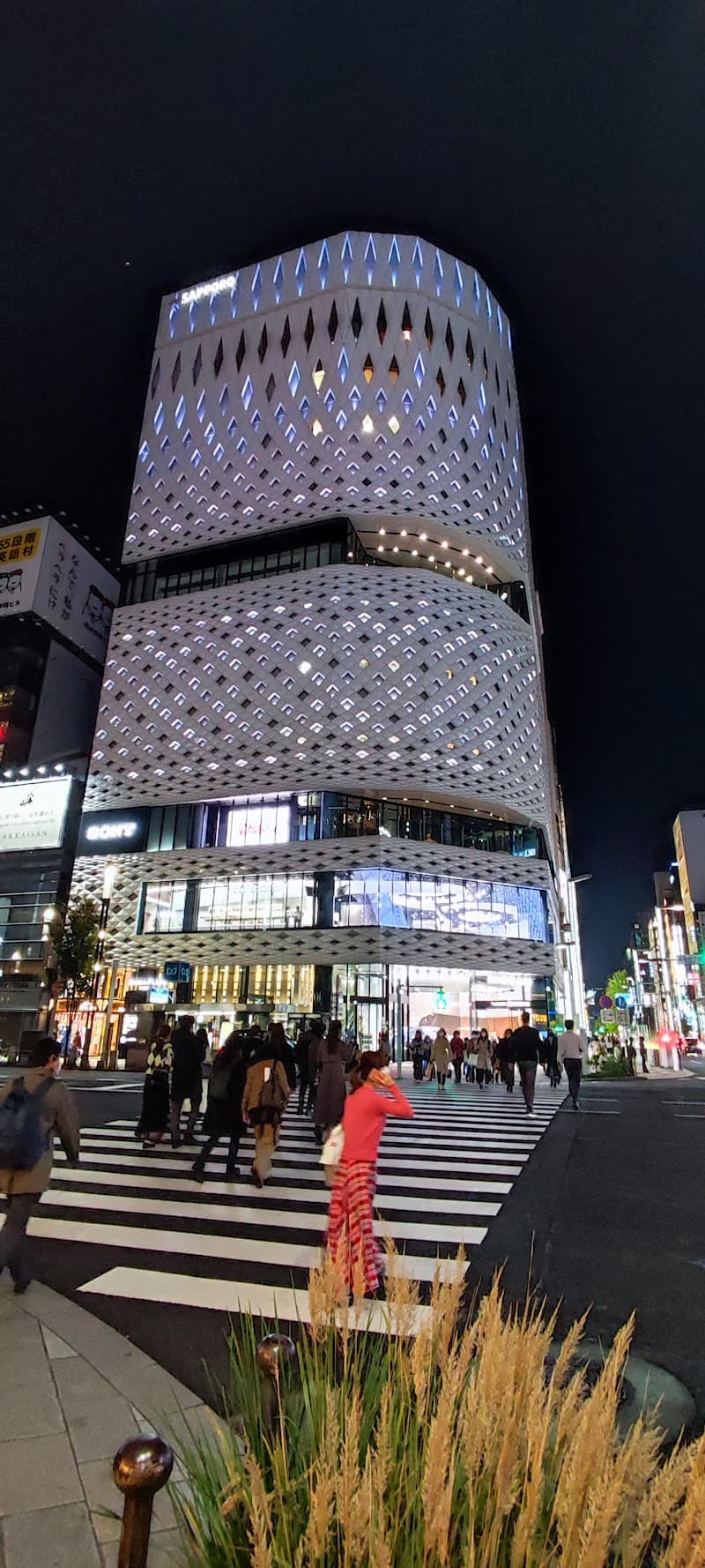 Ginza Shopping Streets