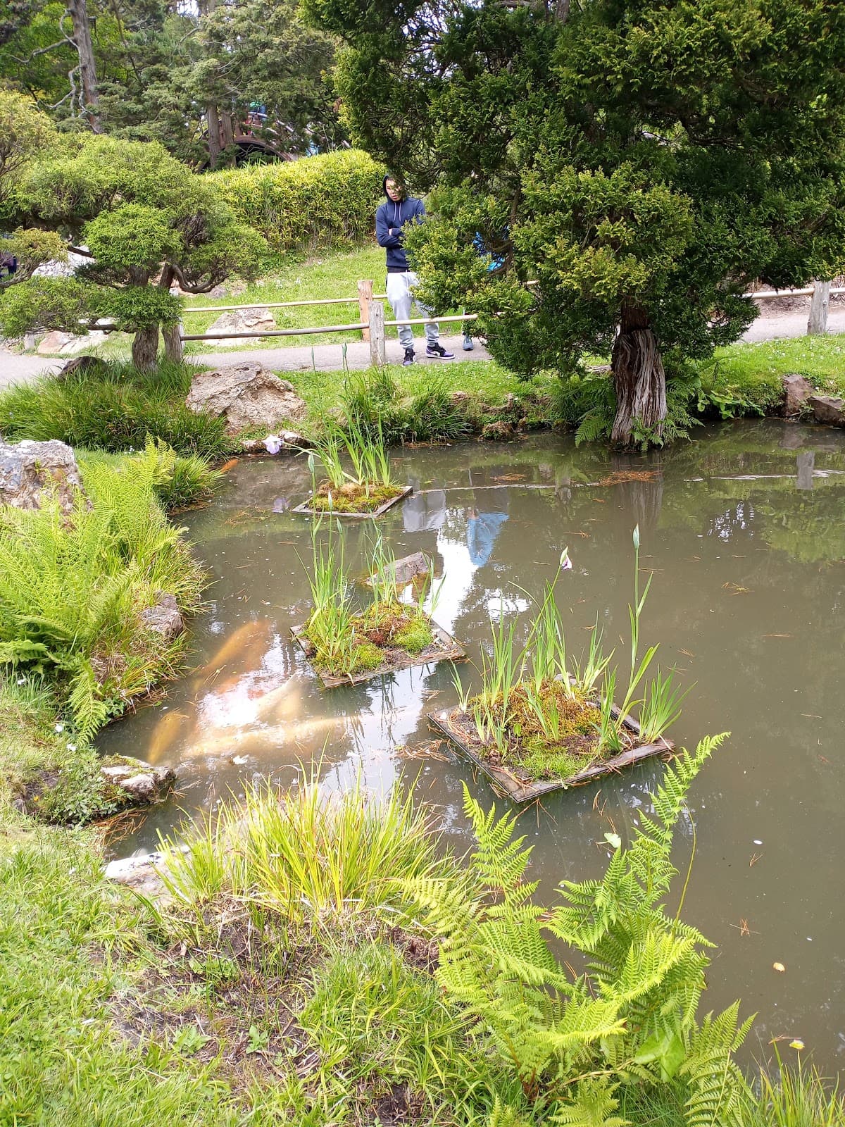 Jungle Wild SF: Romantic Urban Escape