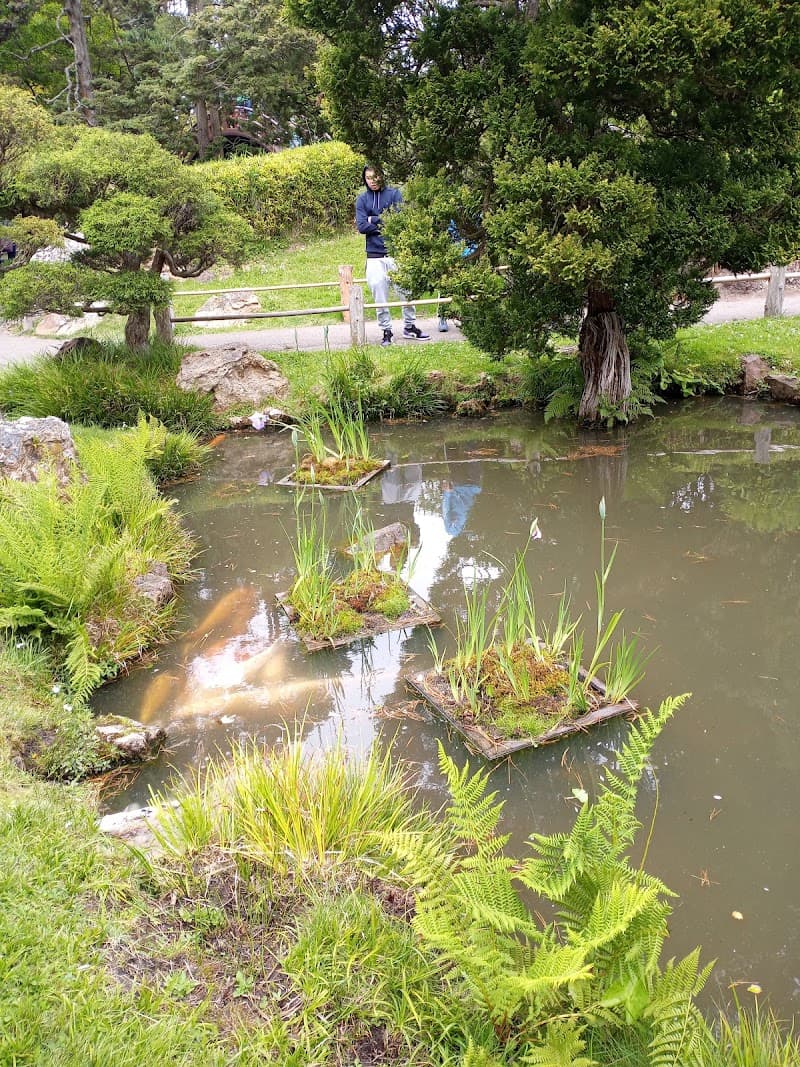 Golden Gate Park Free Explore