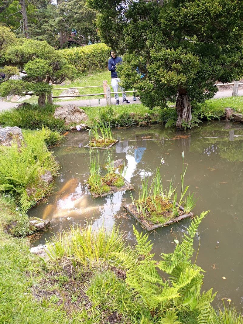 Wild & Romantic Weekend in San Francisco