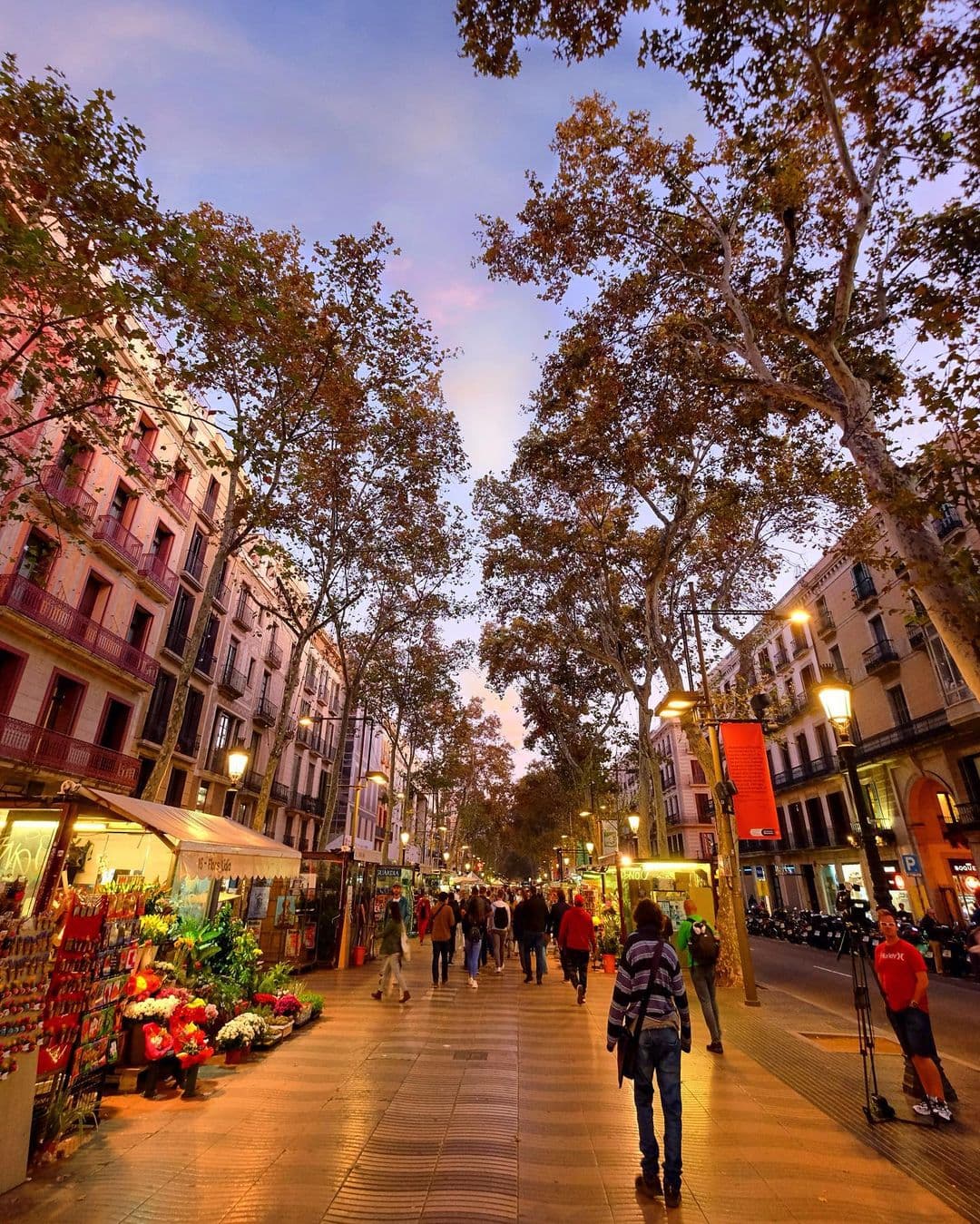 Gothic Quarter & La Rambla