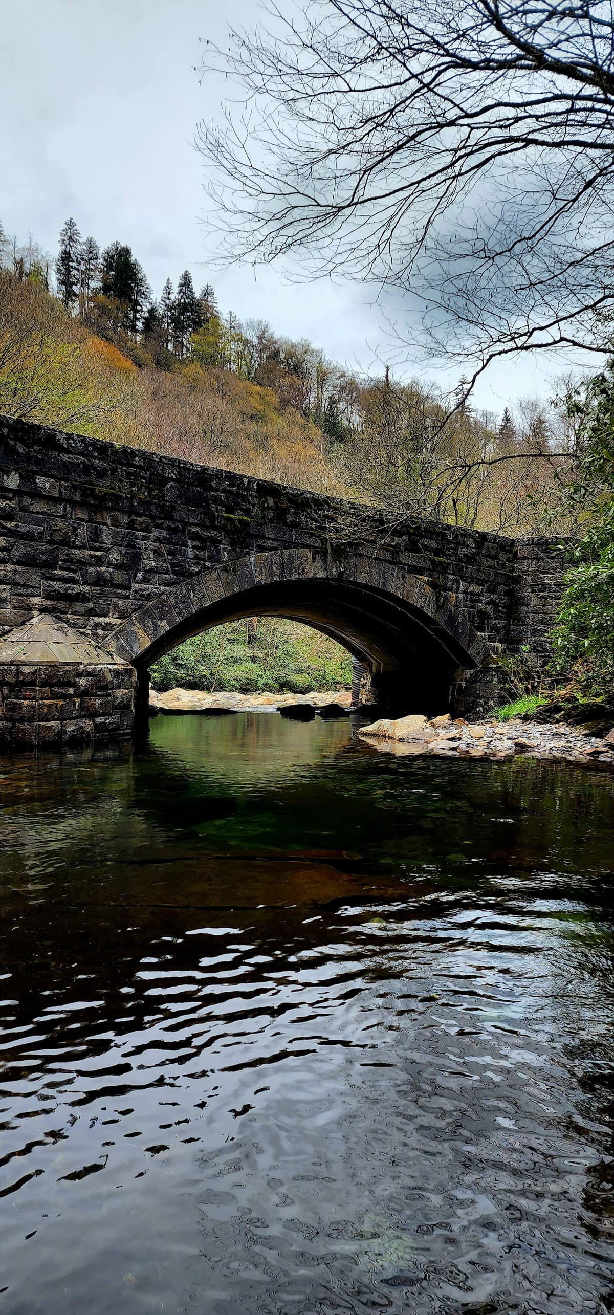 Great Smoky Mountains National Park — Newfound Gap Road & Photography Overlooks