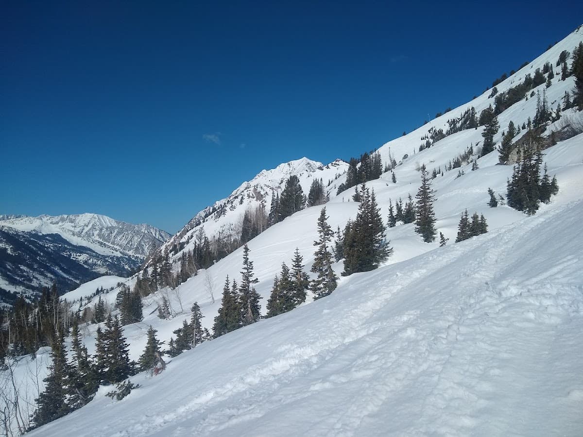 Grizzly Gulch Hike-Photo