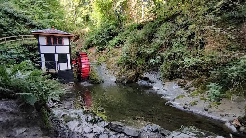 Groudle Glen & Coastal Path
