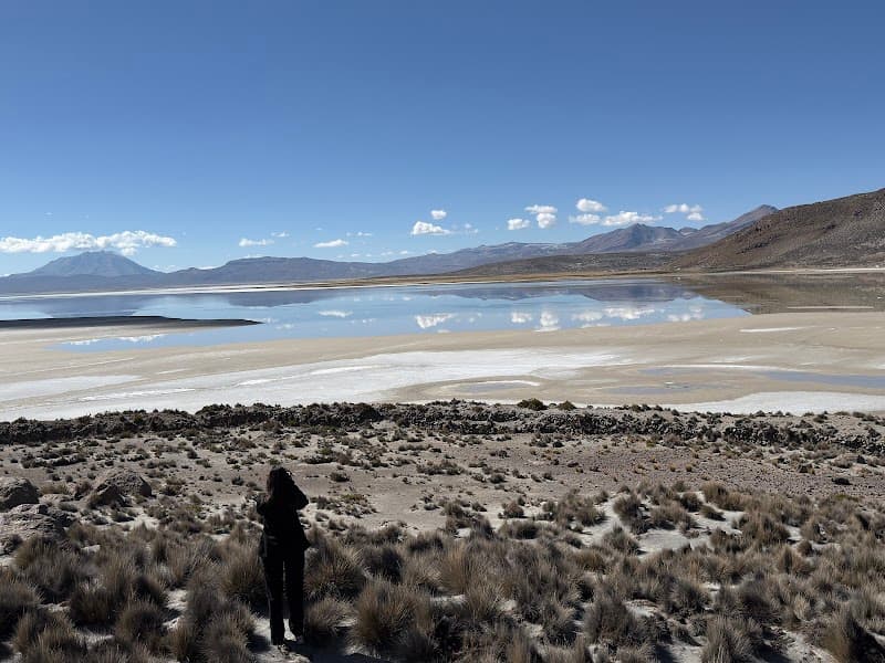 Guided Day Tour: Salinas y Aguada Blanca National Reserve (Laguna de Salinas)
