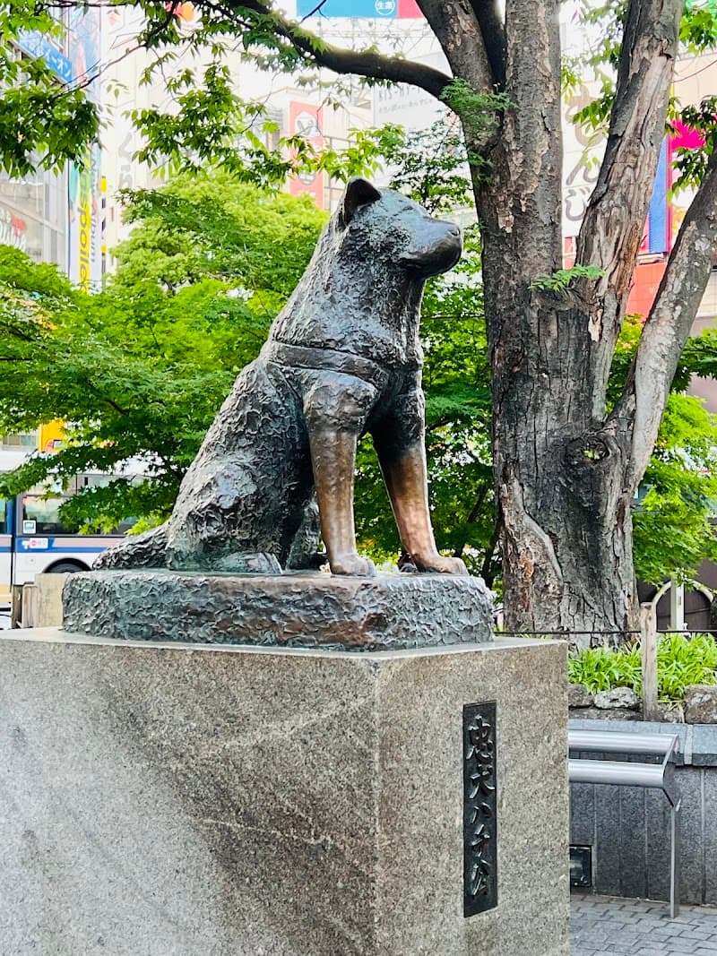 Hachiko Statue & Shibuya Scramble Crossing