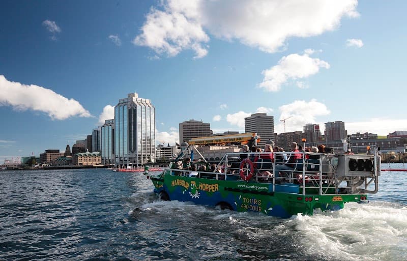 Harbour Hopper Tour