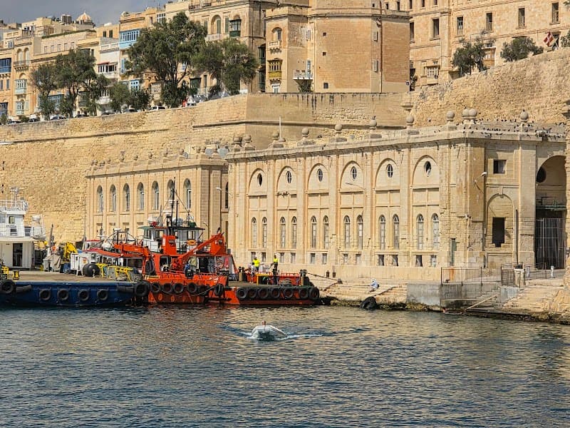 Harissa Restaurant (Sliema)