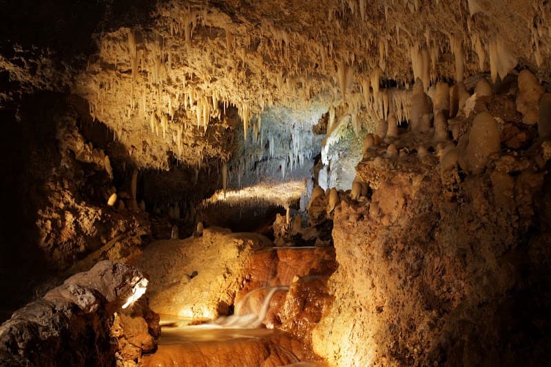 Harrison's Cave Tram