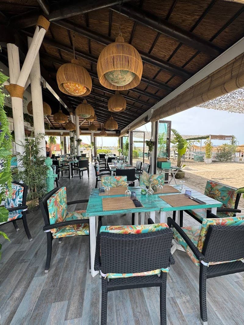 Havana Beach Bar