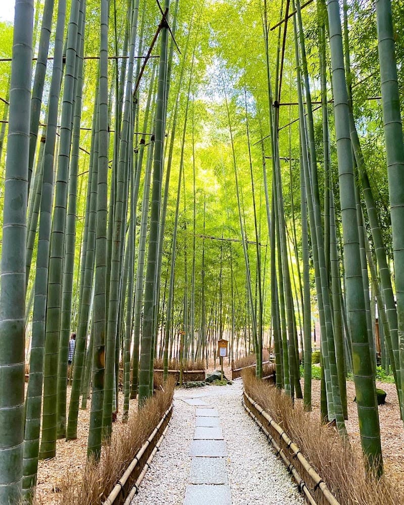 Hokoku-ji Bamboo Temple