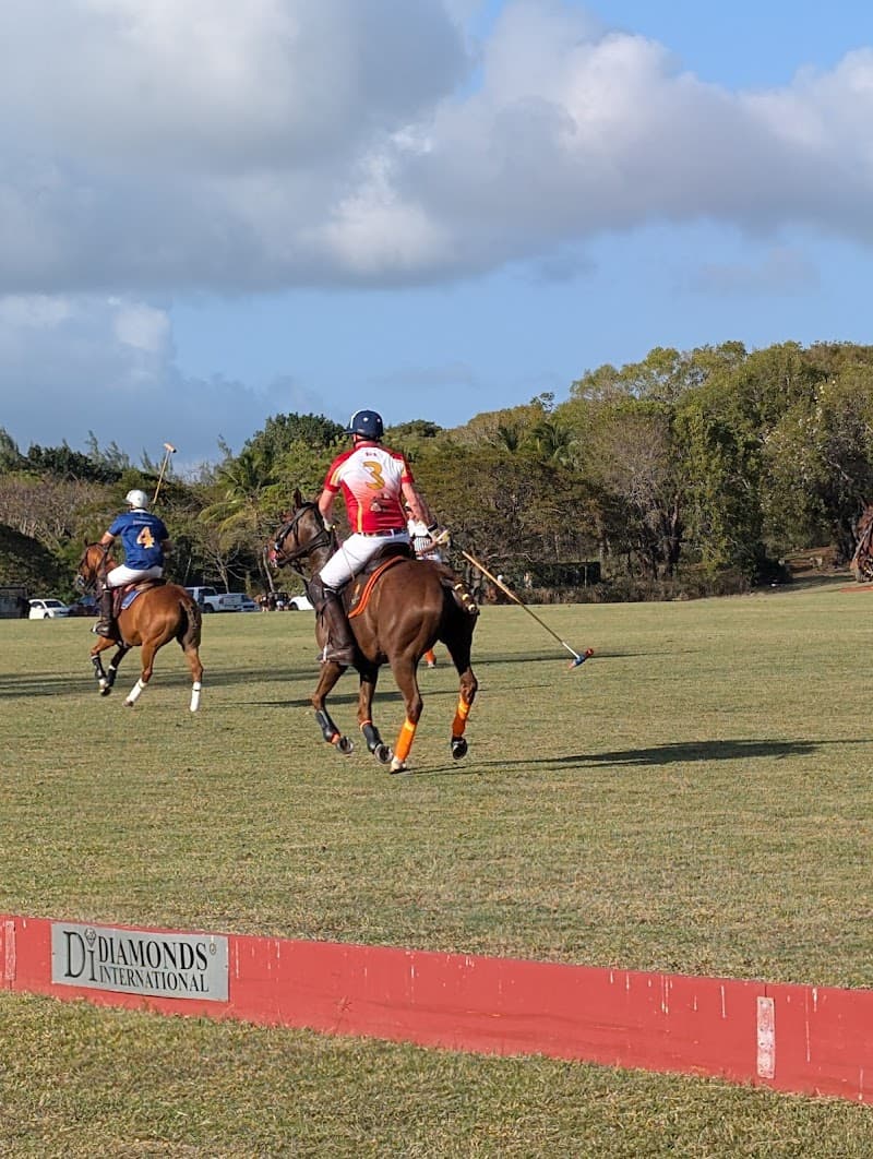 Holders Polo Match