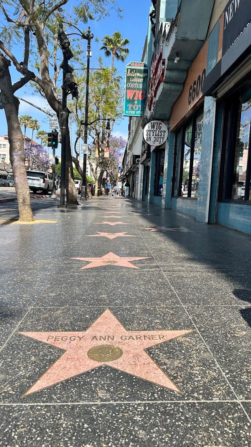 Hollywood Walk of Fame & Bars