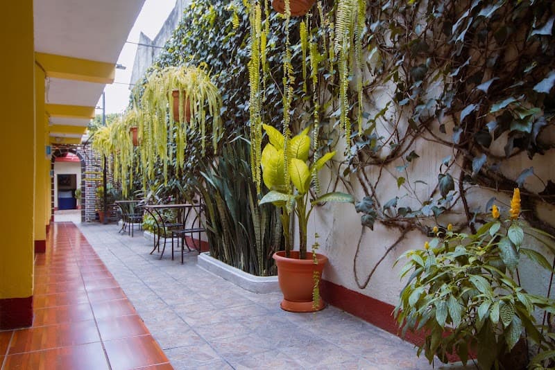 Hostal Antigua