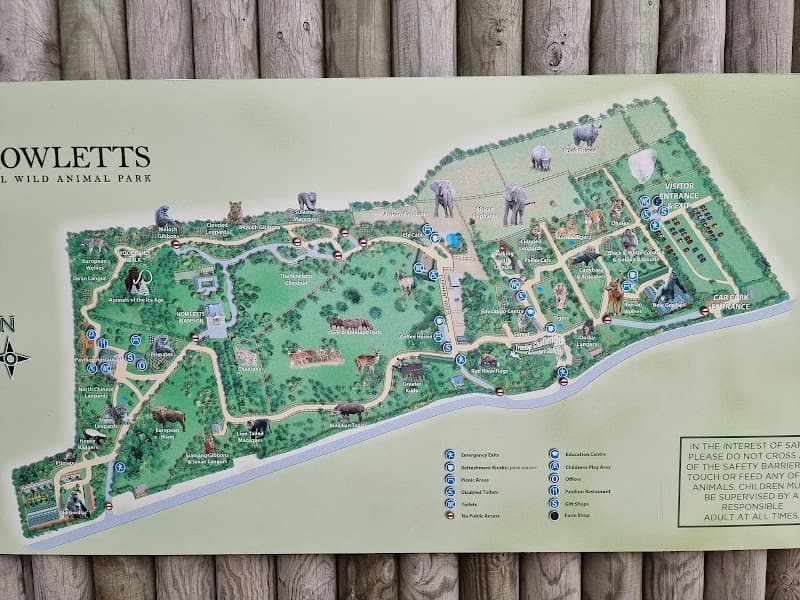 Howletts Wild Animal Park