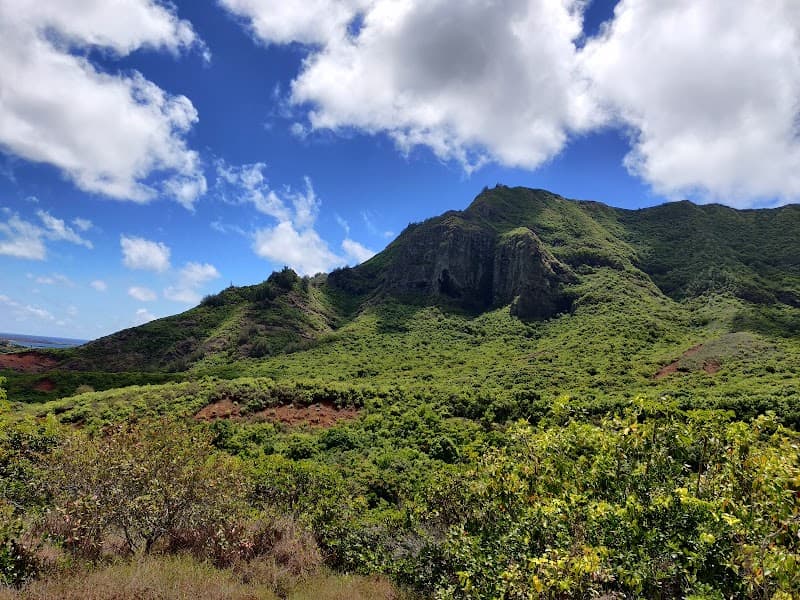 Jungle Wild Long Weekend in Lihue & East Kauai