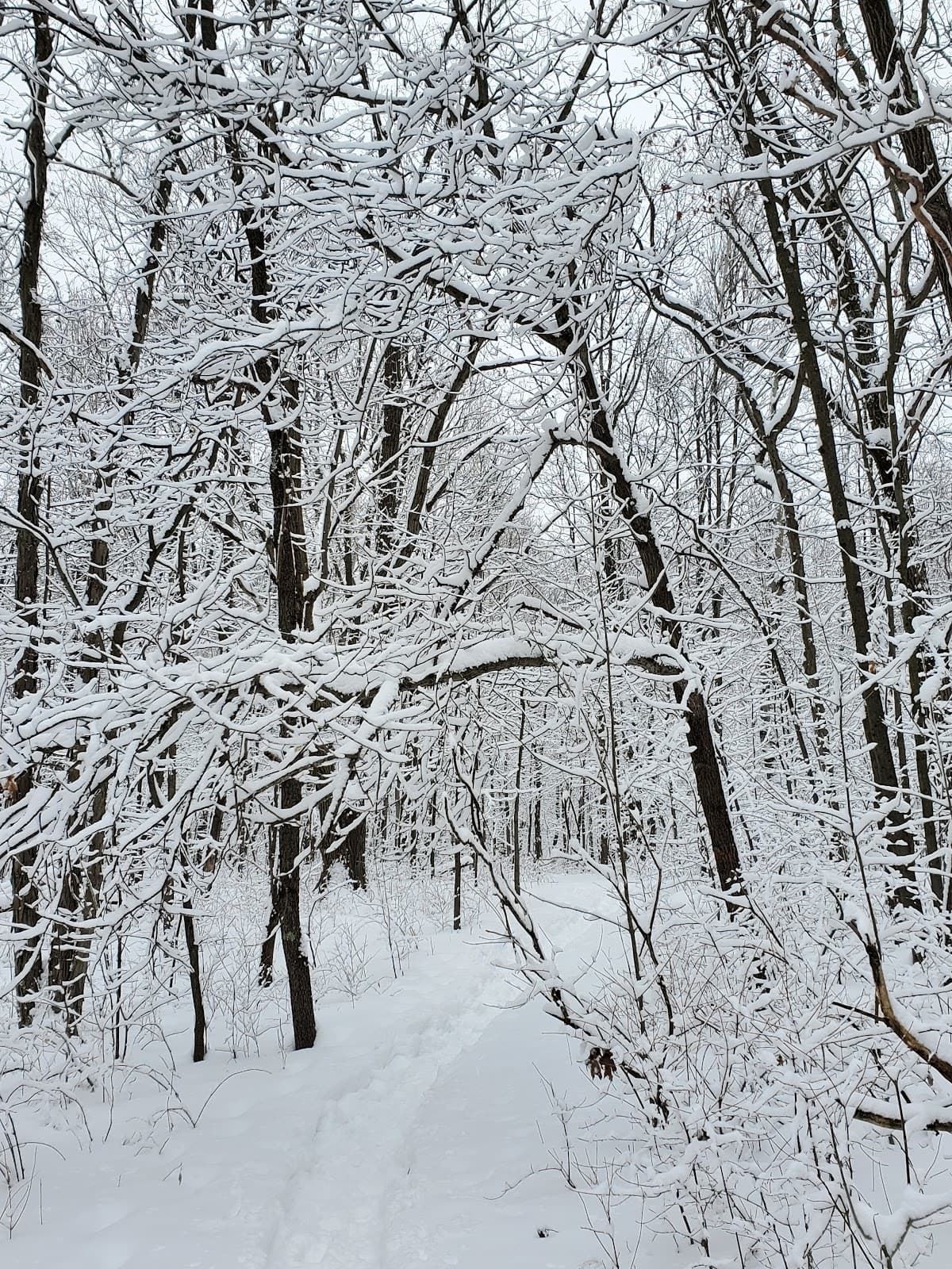 Ice Age Trail Segment
