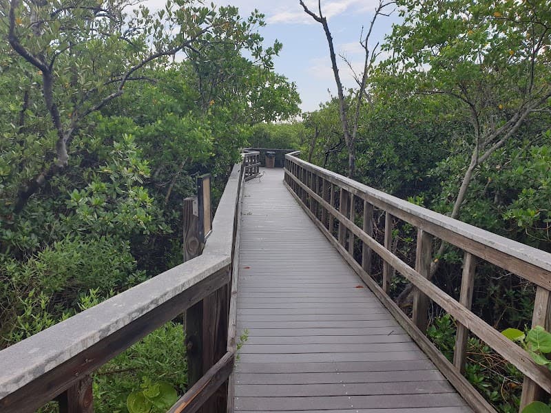 Indian Rocks Beach Nature Preserve