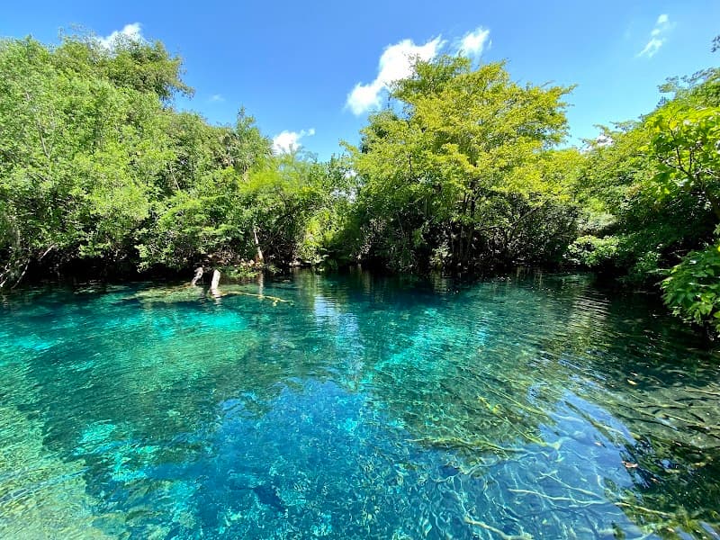 Indigenous Eyes Ecological Park & Reserve