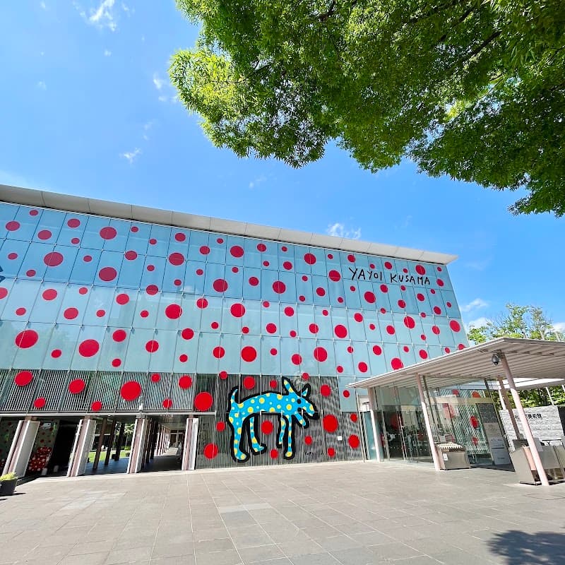 City Museum of Novi Sad Area Walk