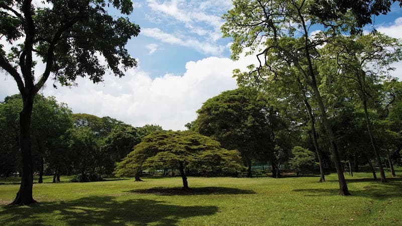 Wild Green Medellín: A Solo Jungle-City Escape