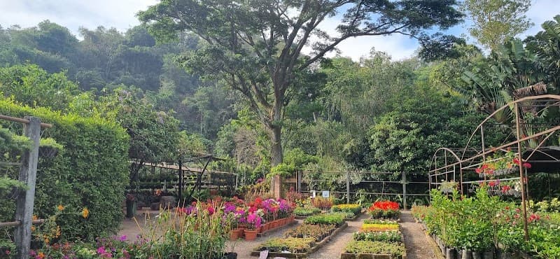 Jardín Botánico La Laguna