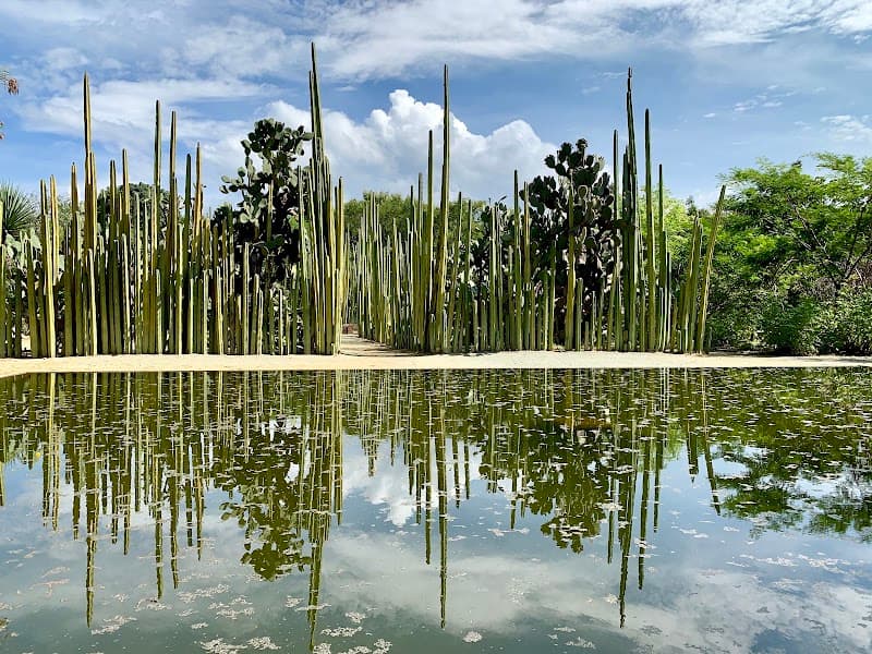 Jardín Etnobotánico de Oaxaca