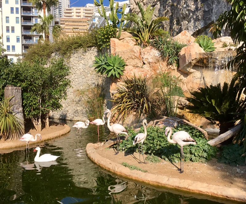 Jardin Animalier de Monaco (Small Zoo)