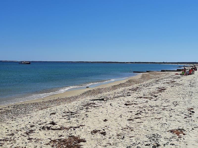 Joseph Sylvia State Beach
