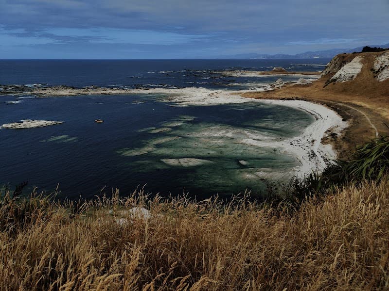 Kaikoura Peninsula Walkway (Clifftop Loop)