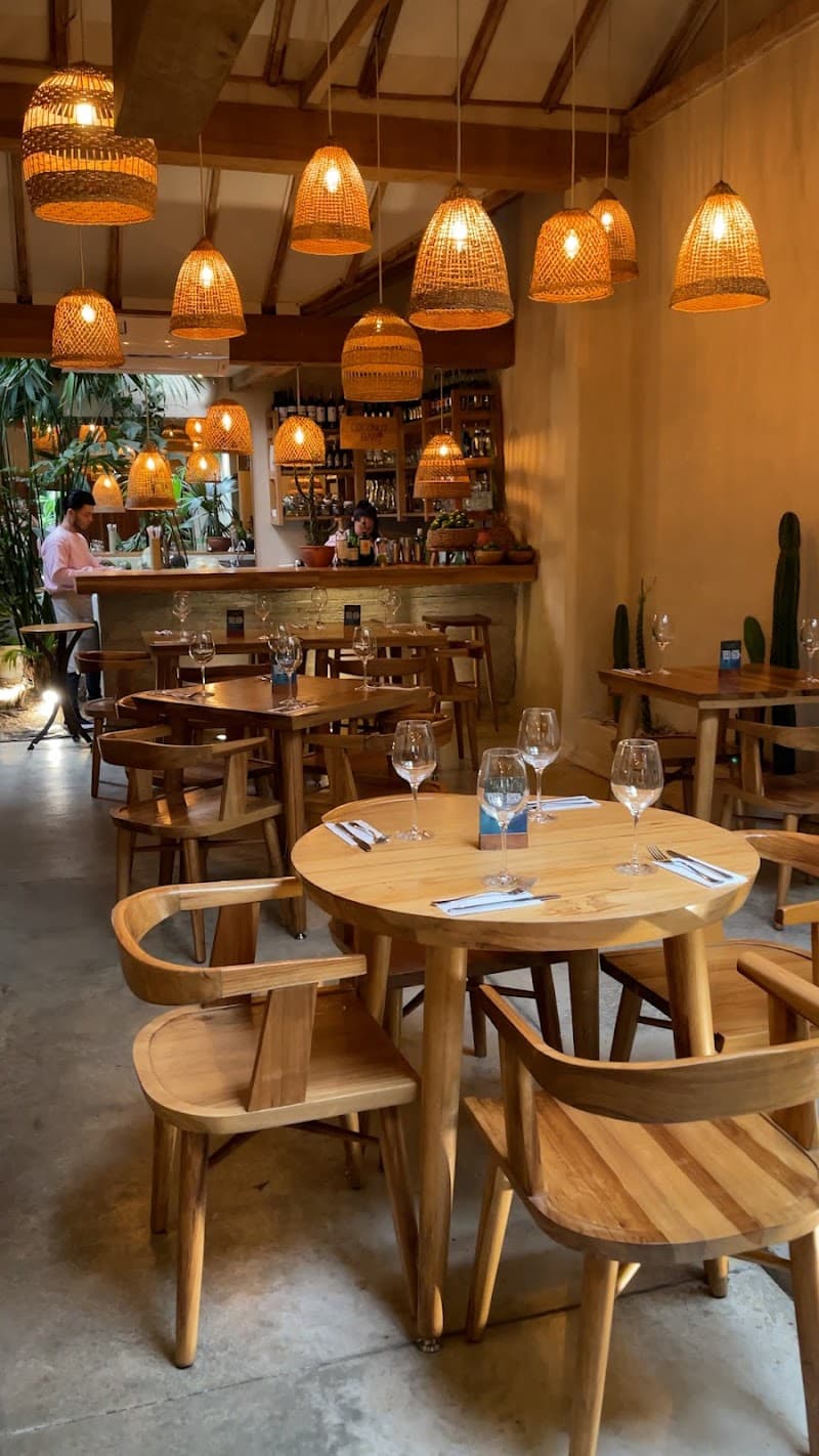Medellín Jungle Vibes: A Chill 3-Day Solo Escape