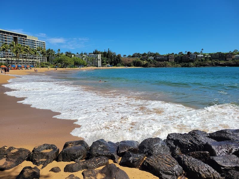 Seven Jungle Days Around Lihue, Kauai