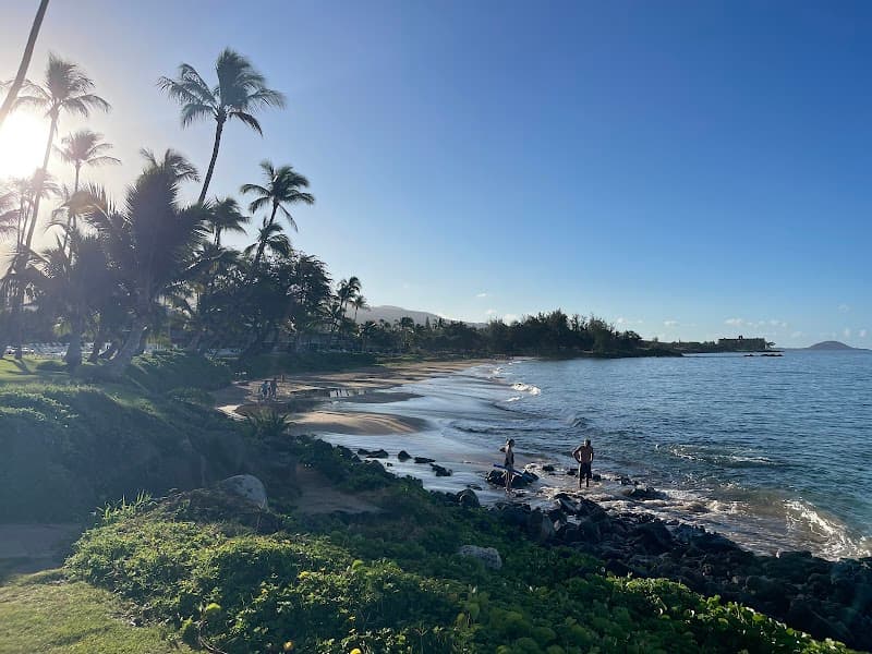 Kamaʻole Beach Park II (Relax & Swim)