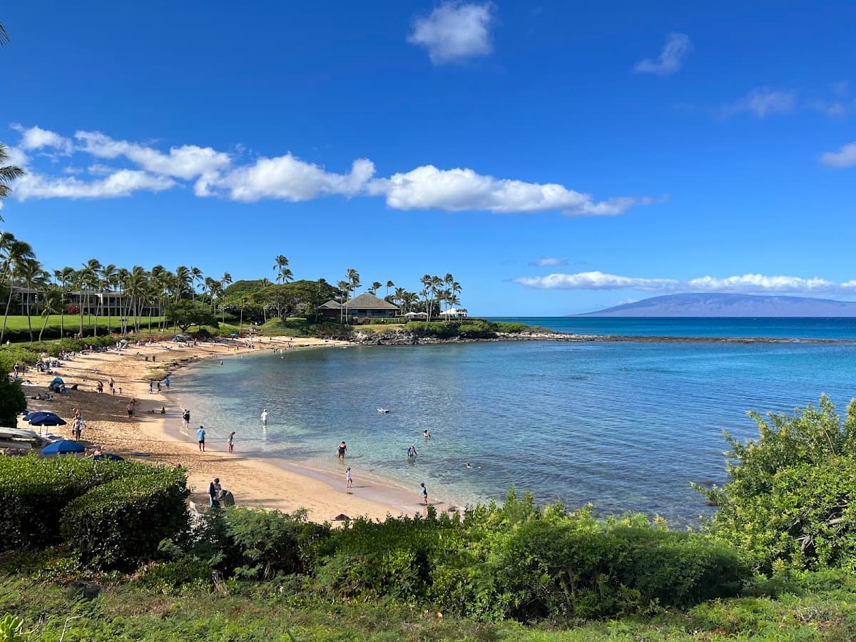 Kapalua Bay Snorkeling