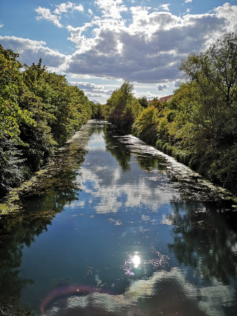 Karl-Heine-Kanal Boat Tour (City Harbour to Plagwitz)