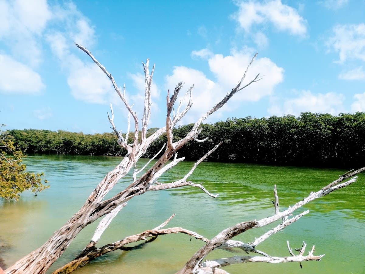 Kayaking Nichupté Lagoon