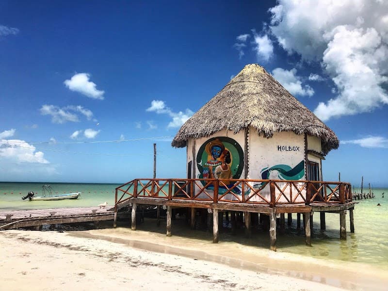 Kayaking Tour Through the Mangroves in Isla Holbox