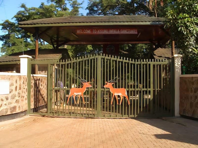 Kenya Wildlife Impala Sanctuary Return Visit